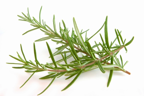 Rosemary scent Improves memory.  If only someone would make a rosemary-scented gum!